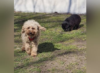 Filiz bekam nur die notwendige Zuwendung