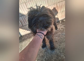 Linda - sooo bezaubernd