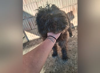 Linda - sooo bezaubernd