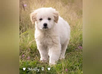 Minnie sucht ein Zuhause