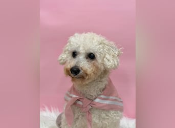 Miseol, neugieriege kleine Entdeckerin