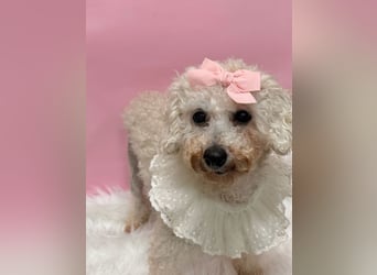 Miseol, neugieriege kleine Entdeckerin