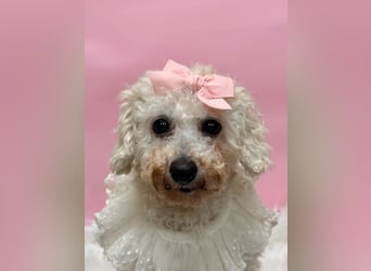 Miseol, neugieriege kleine Entdeckerin