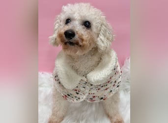 Miseol, neugieriege kleine Entdeckerin