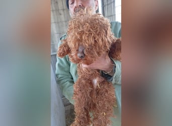 Cezar PP Raus aus dem Heim rein ins Herz