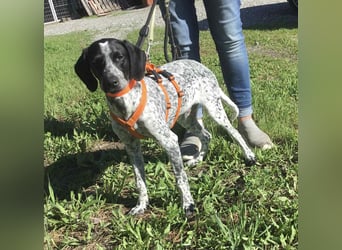 Toby sucht die Menschen, die ihn nicht verlassen