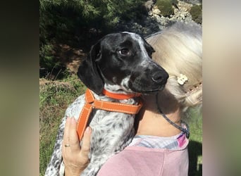 Toby sucht die Menschen, die ihn nicht verlassen