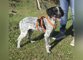 Toby sucht die Menschen, die ihn nicht verlassen