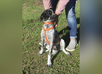 Toby sucht die Menschen, die ihn nicht verlassen