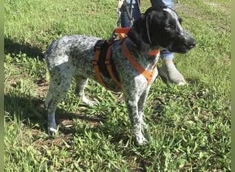 Toby sucht die Menschen, die ihn nicht verlassen