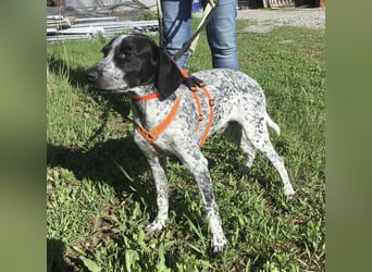 Toby sucht die Menschen, die ihn nicht verlassen