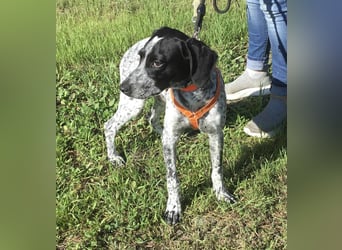 Toby sucht die Menschen, die ihn nicht verlassen