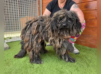 Douchi - schüchtern aber neugierig