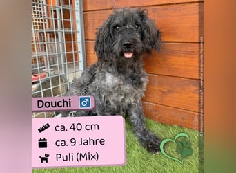 Douchi - schüchtern aber neugierig