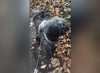 Douchi - schüchtern aber neugierig