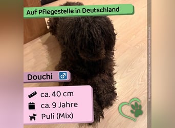 Douchi - schüchtern aber neugierig