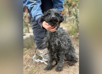 Csendike möchte endlich ankommen