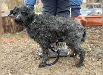 Csendike möchte endlich ankommen