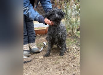 Csendike möchte endlich ankommen