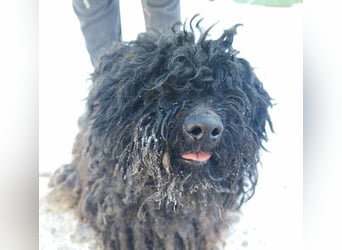 Csendike möchte endlich ankommen