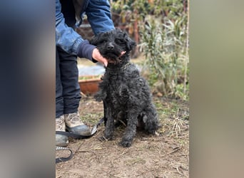 Csendike möchte endlich ankommen