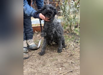 Csendike möchte endlich ankommen