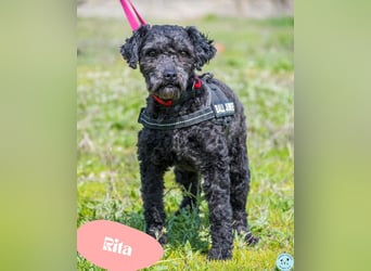 Rita SI - freundlich, verträglich