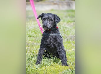 Rita SI - freundlich, verträglich