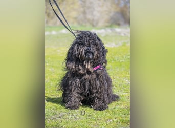 Rita SI - freundlich, verträglich