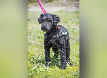 Rita SI - freundlich, verträglich