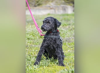 Rita SI - freundlich, verträglich