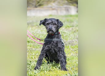 Rita SI - freundlich, verträglich