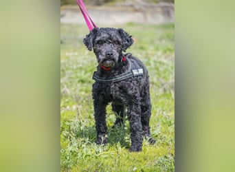 Rita SI - freundlich, verträglich