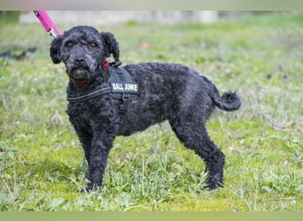 Rita SI - freundlich, verträglich