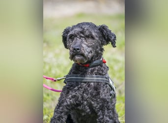 Rita SI - freundlich, verträglich