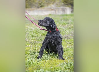 Rita SI - freundlich, verträglich