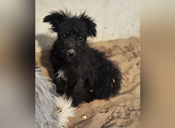 Flohkus entdeckt mit Begeisterung Neues