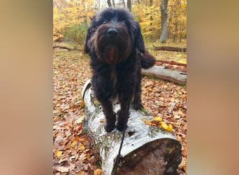 Rogella ist eine richtige Frohnatur (12621 Berlin)