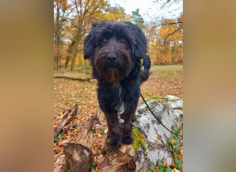 Rogella ist eine richtige Frohnatur (12621 Berlin)