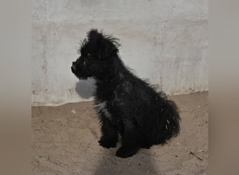 Flohkus entdeckt mit Begeisterung Neues