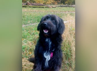 Rogella ist eine richtige Frohnatur (12621 Berlin)