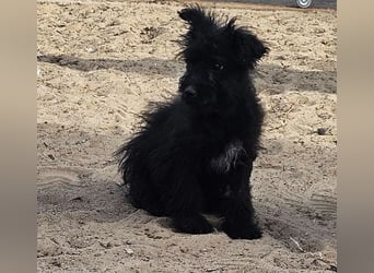 Flohkus entdeckt mit Begeisterung Neues