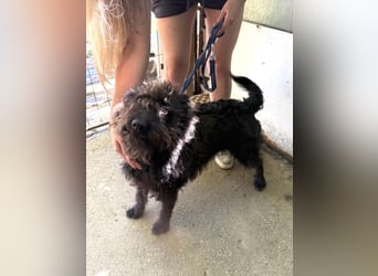 Beneth wartet sehnsüchtig auf ihre Familie