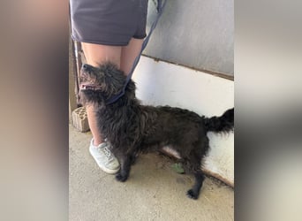 Beneth wartet sehnsüchtig auf ihre Familie