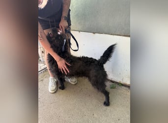 Beneth wartet sehnsüchtig auf ihre Familie