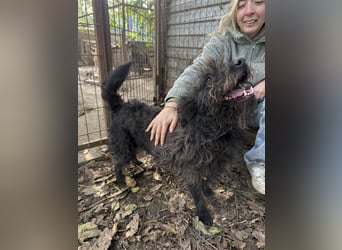 Beneth - sucht ihre Familie!