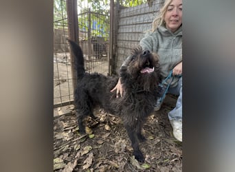 Beneth wartet sehnsüchtig auf ihre Familie