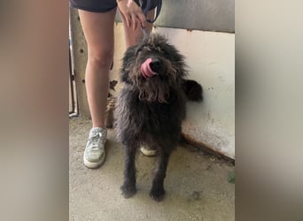 Beneth hofft auf ein neues Kapitel