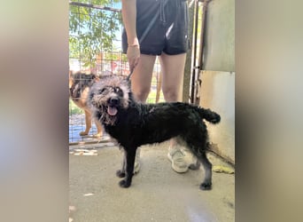 Beneth- Sie bringt eine extra Portion Lebensfreude mit