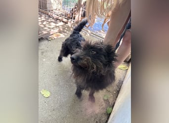 Beneth wartet sehnsüchtig auf ihre Familie